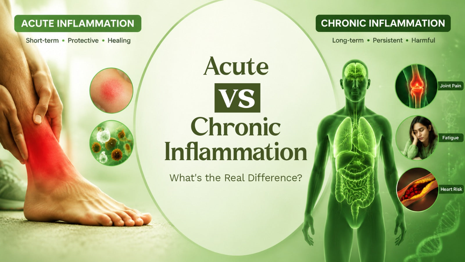 Acute vs Chronic Inflammation: What’s the Real Difference?