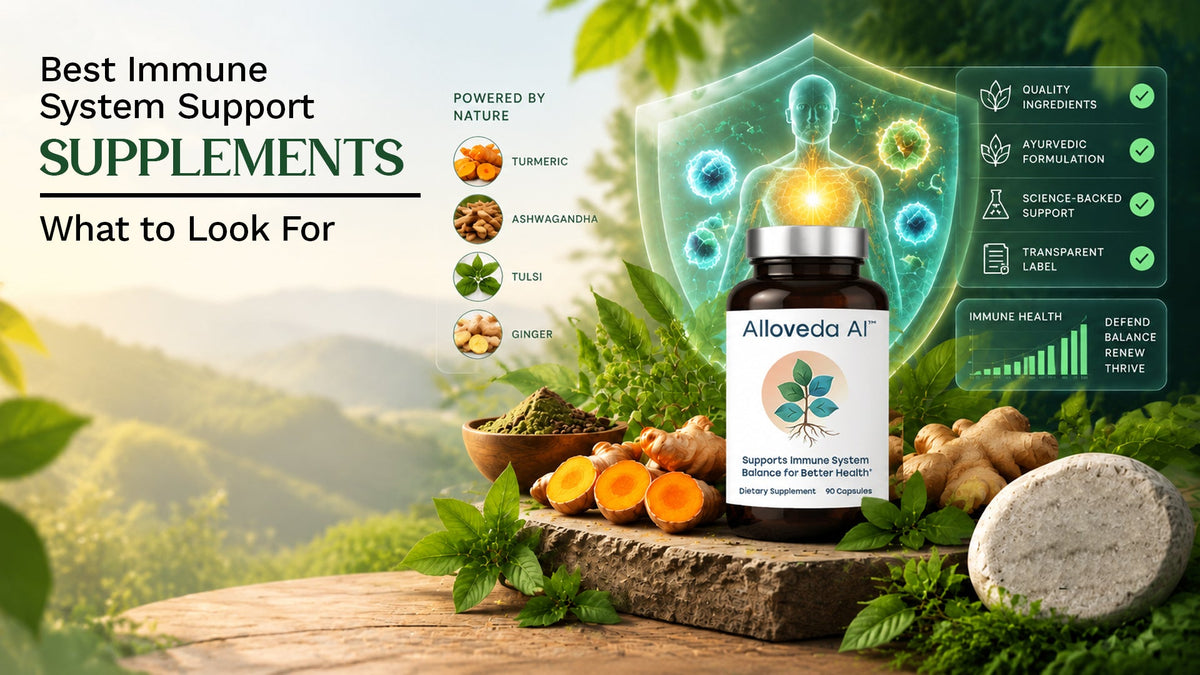 Best Immune System Support Supplements: What to Look For