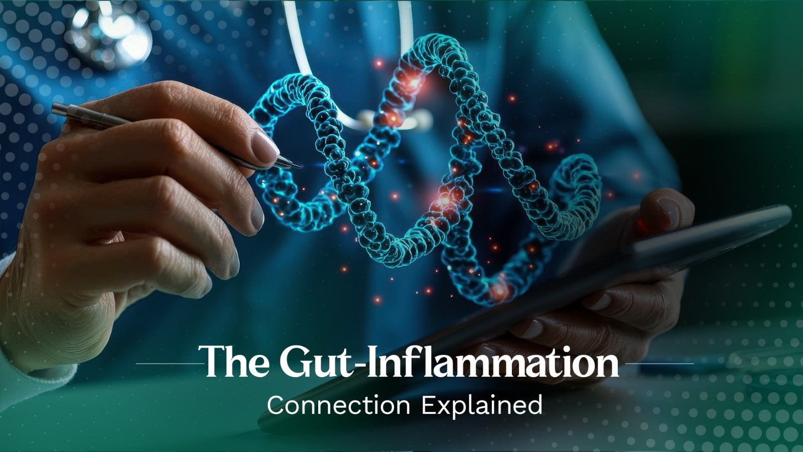 The Gut-Inflammation Connection Explained Alloveda ai