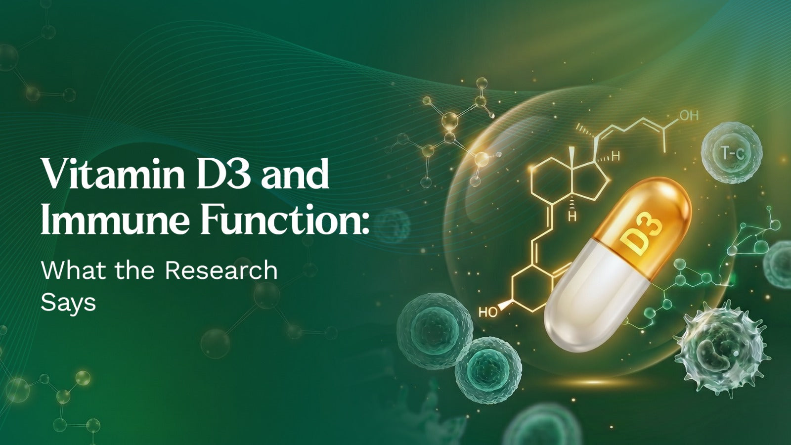Vitamin D3 and Immune Function: What the Research Actually Says by Alloveda ai 