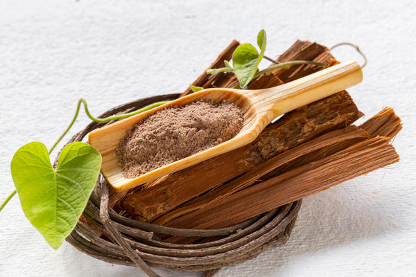 Sarsaparilla_Root_Extract_ alloveda ai 