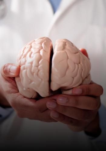 neurological support