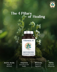 anti-inflammatory supplements alloveda ai four pillar